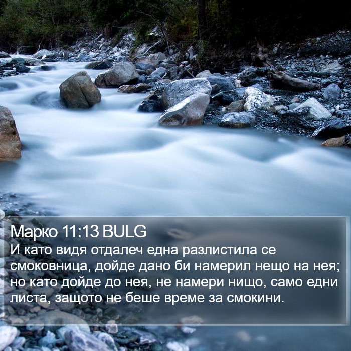 Марко 11:13 BULG Bible Study