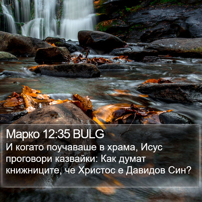 Марко 12:35 BULG Bible Study