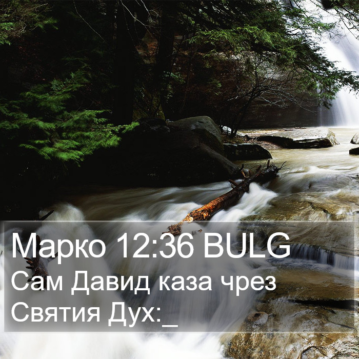 Марко 12:36 BULG Bible Study