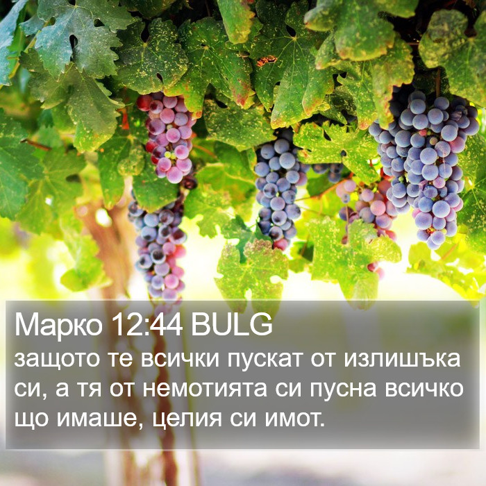 Марко 12:44 BULG Bible Study