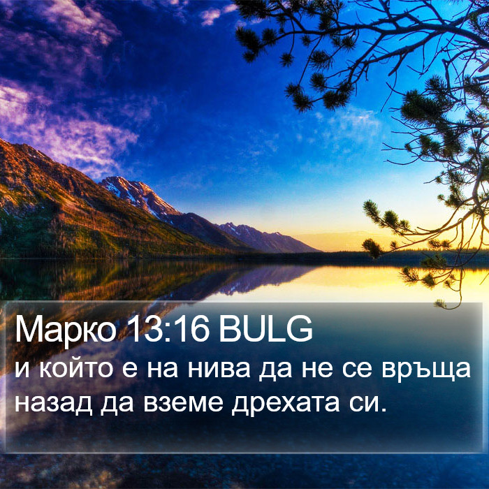 Марко 13:16 BULG Bible Study