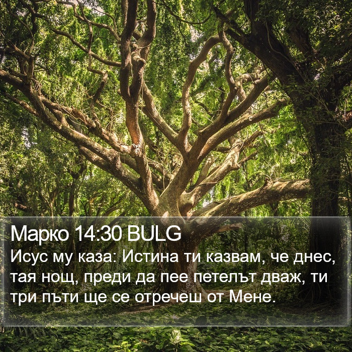 Марко 14:30 BULG Bible Study