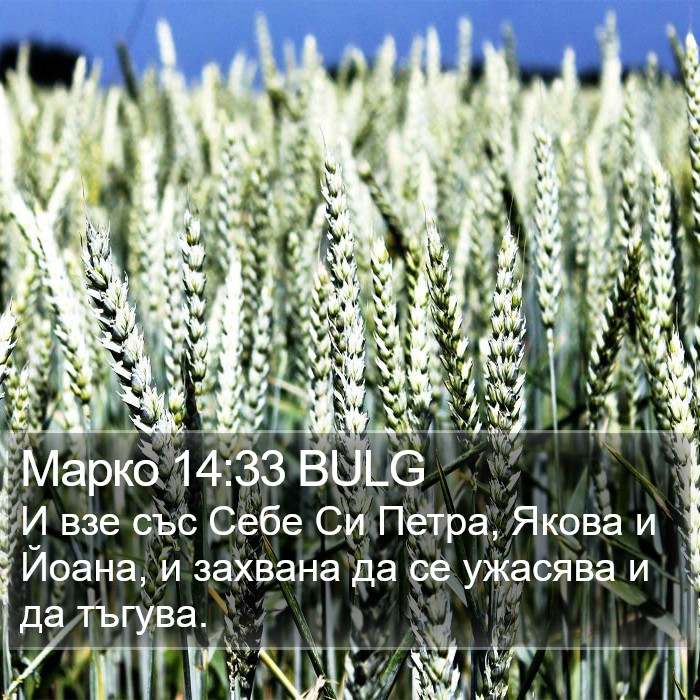 Марко 14:33 BULG Bible Study