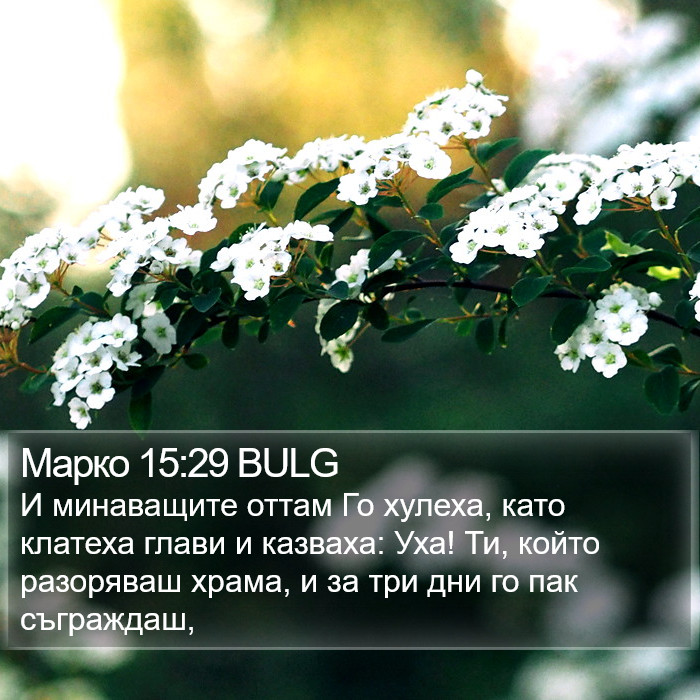 Марко 15:29 BULG Bible Study