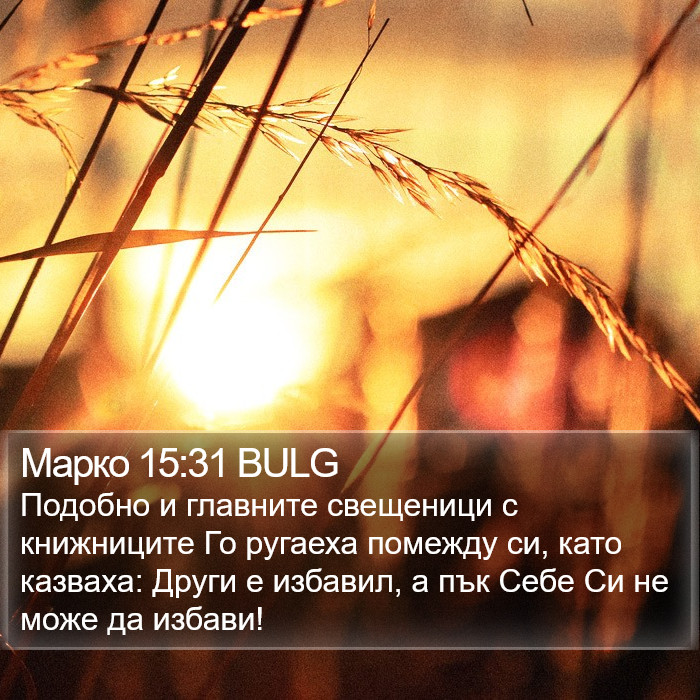 Марко 15:31 BULG Bible Study