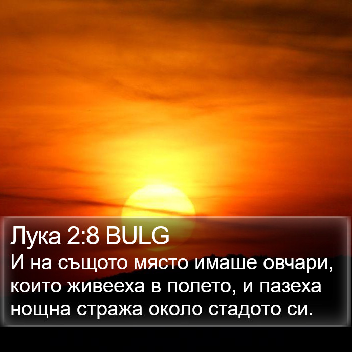 Лука 2:8 BULG Bible Study