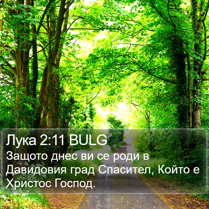 Лука 2:11 BULG Bible Study