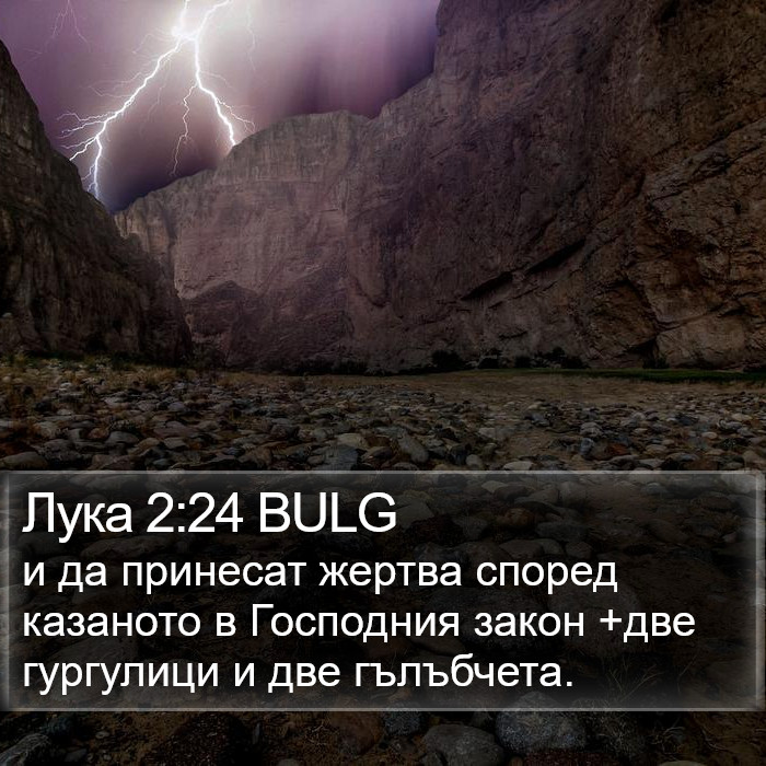 Лука 2:24 BULG Bible Study