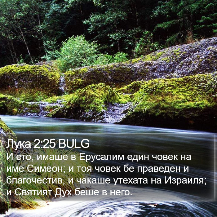 Лука 2:25 BULG Bible Study