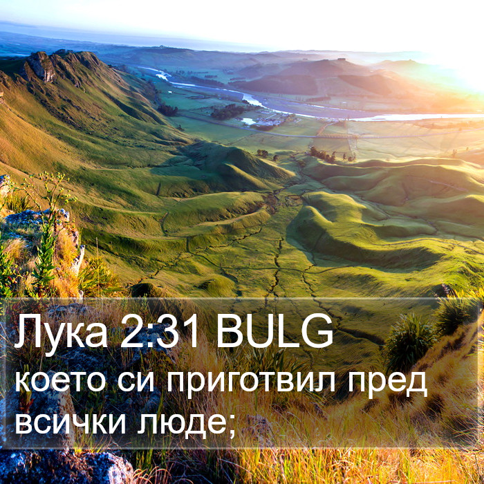 Лука 2:31 BULG Bible Study