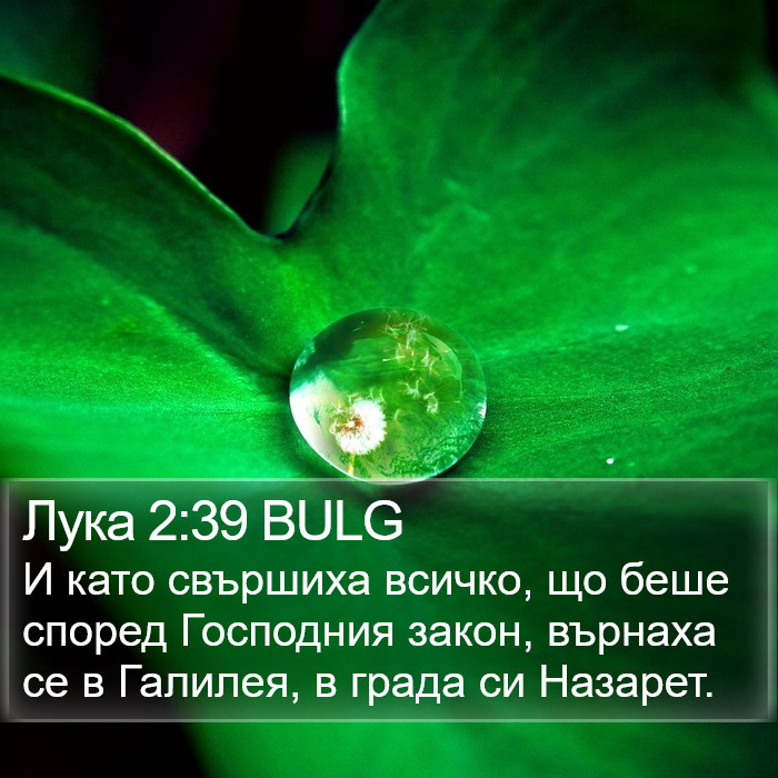 Лука 2:39 BULG Bible Study