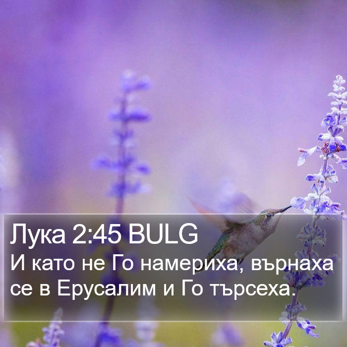 Лука 2:45 BULG Bible Study