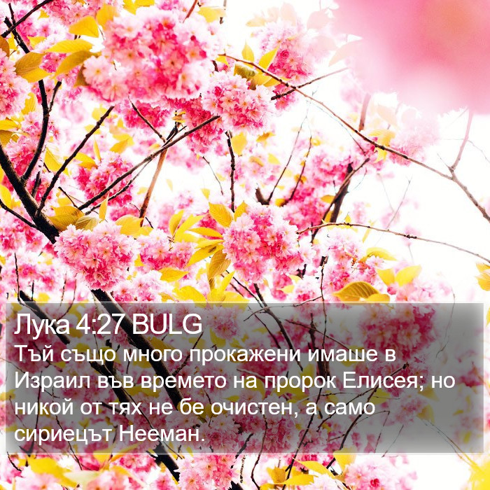 Лука 4:27 BULG Bible Study