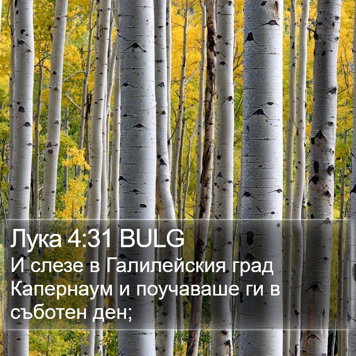 Лука 4:31 BULG Bible Study