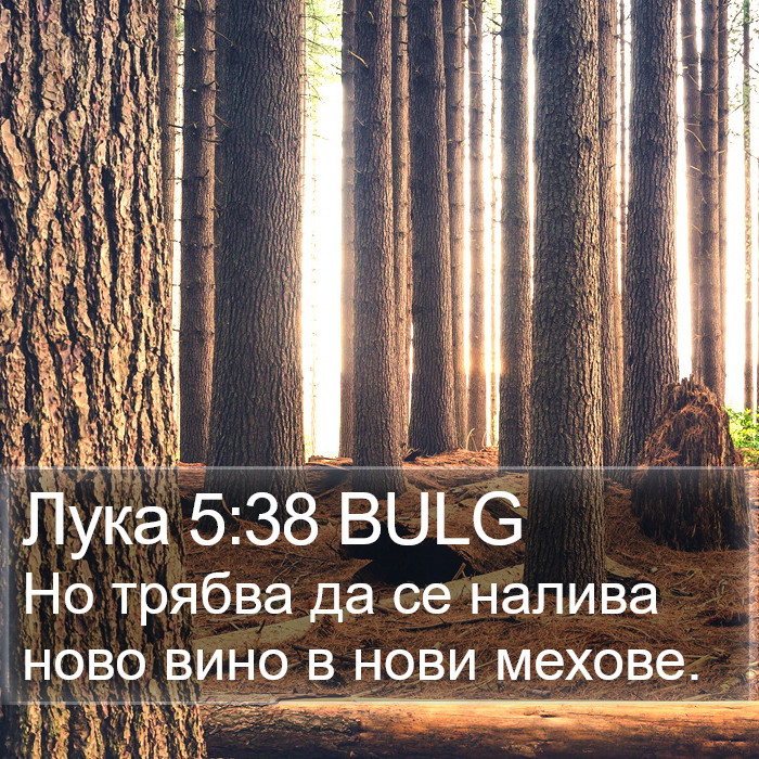 Лука 5:38 BULG Bible Study