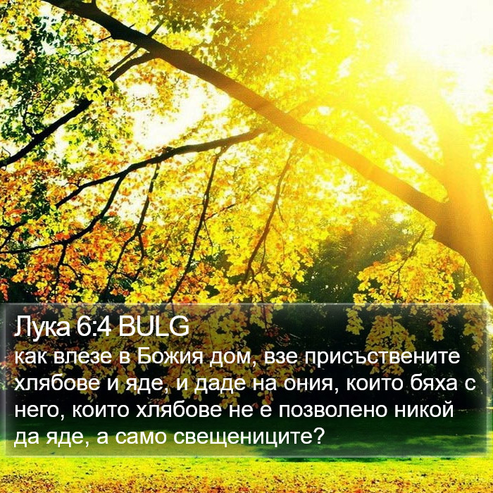 Лука 6:4 BULG Bible Study