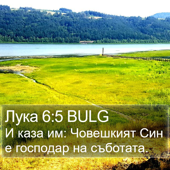 Лука 6:5 BULG Bible Study