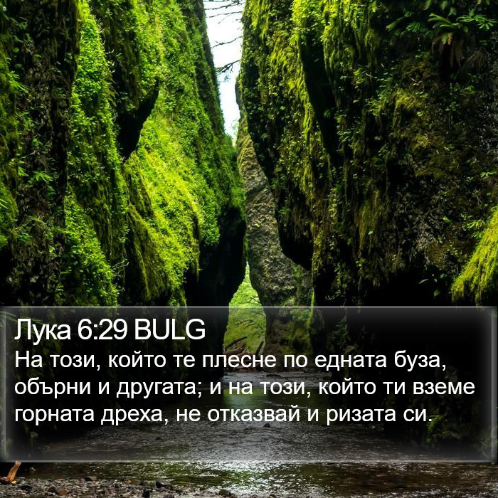 Лука 6:29 BULG Bible Study