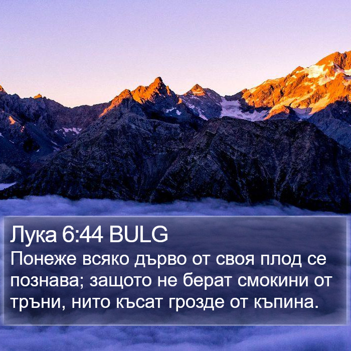 Лука 6:44 BULG Bible Study