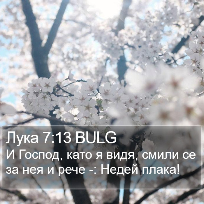 Лука 7:13 BULG Bible Study