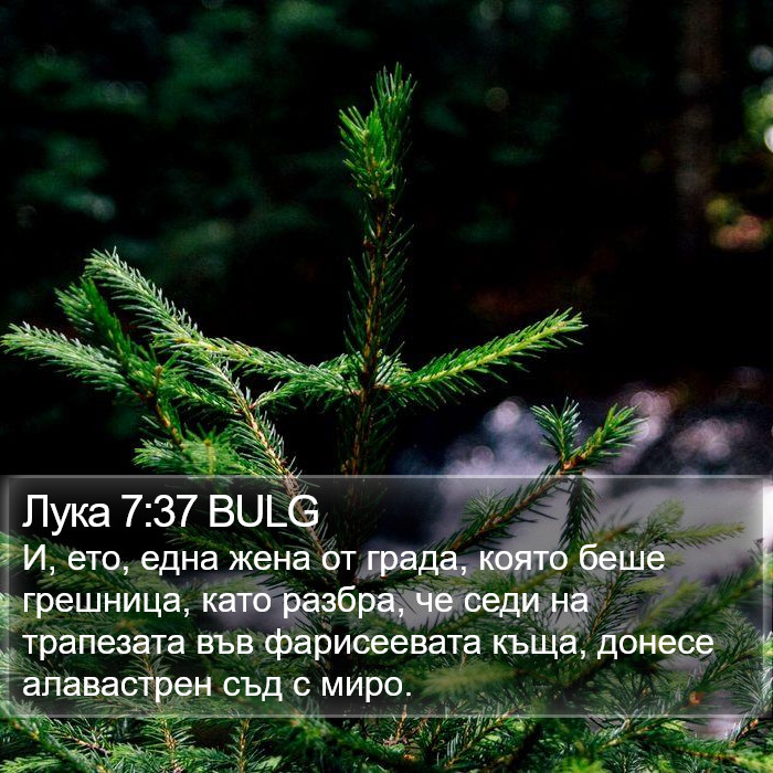 Лука 7:37 BULG Bible Study