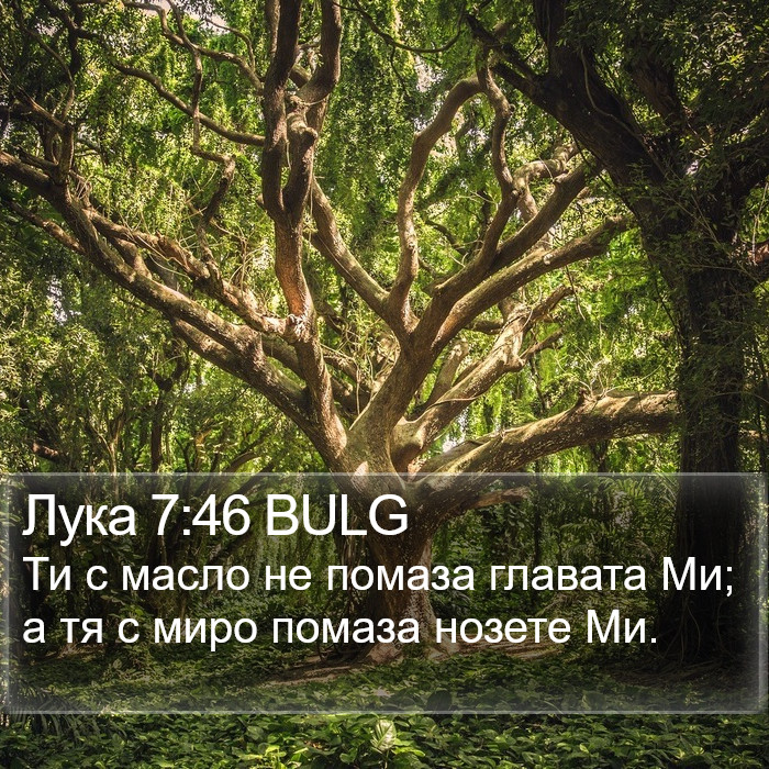 Лука 7:46 BULG Bible Study