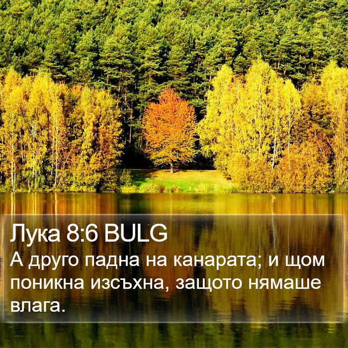 Лука 8:6 BULG Bible Study