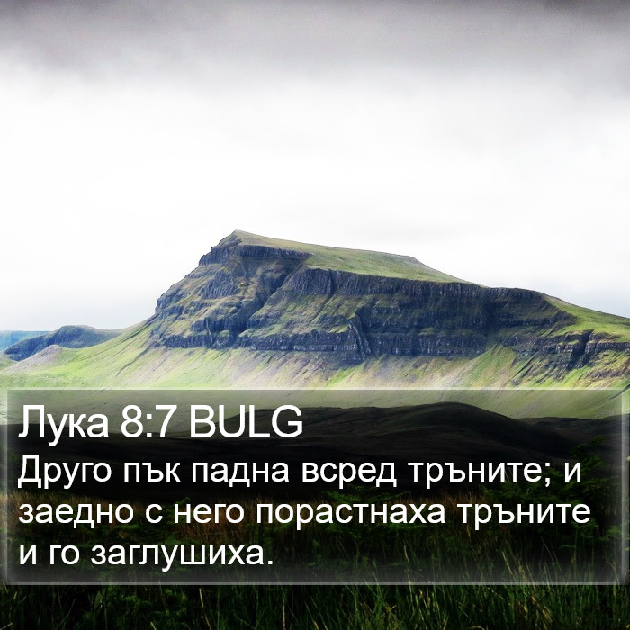 Лука 8:7 BULG Bible Study