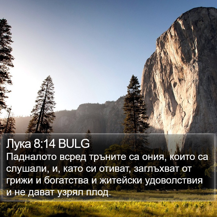 Лука 8:14 BULG Bible Study