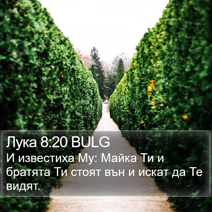 Лука 8:20 BULG Bible Study