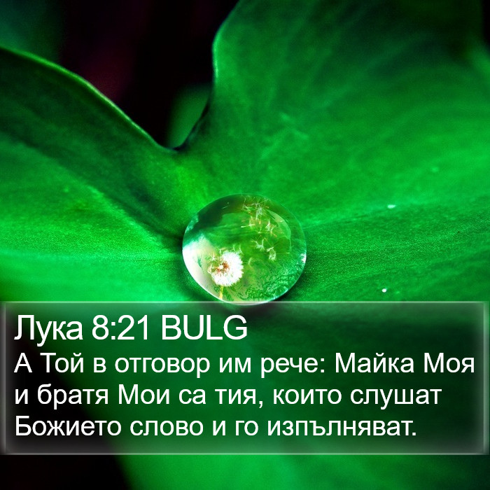 Лука 8:21 BULG Bible Study