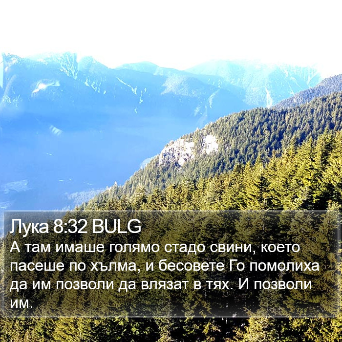 Лука 8:32 BULG Bible Study