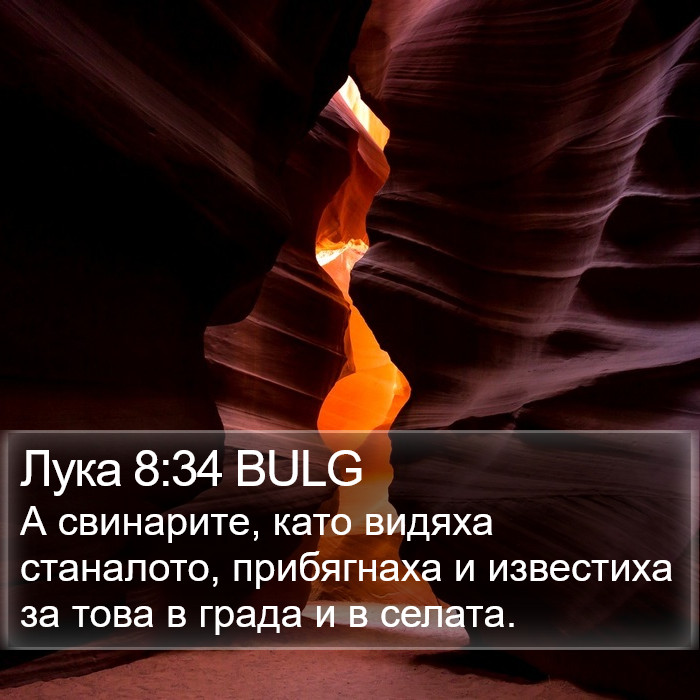 Лука 8:34 BULG Bible Study