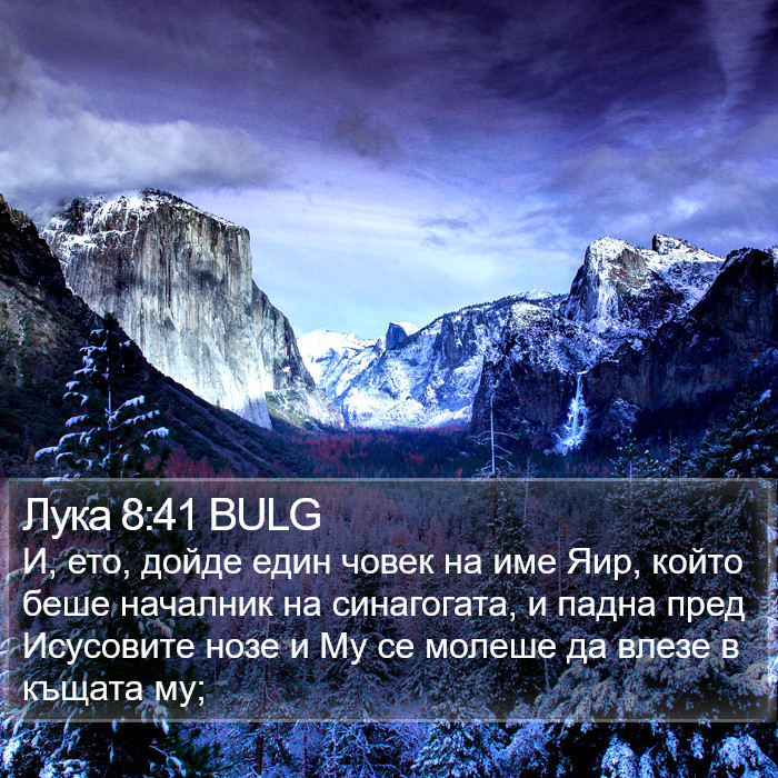 Лука 8:41 BULG Bible Study