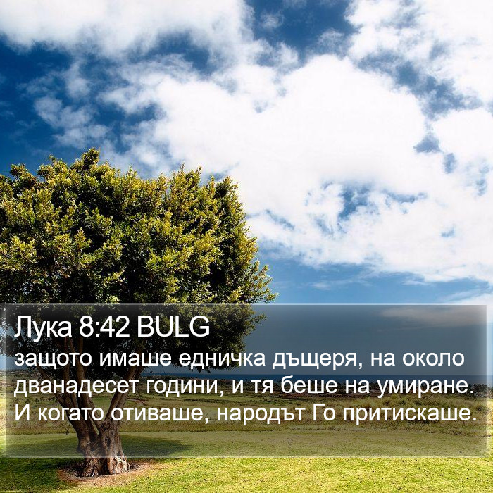 Лука 8:42 BULG Bible Study