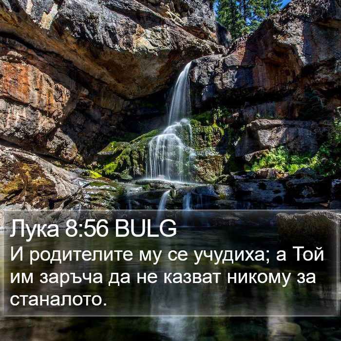 Лука 8:56 BULG Bible Study