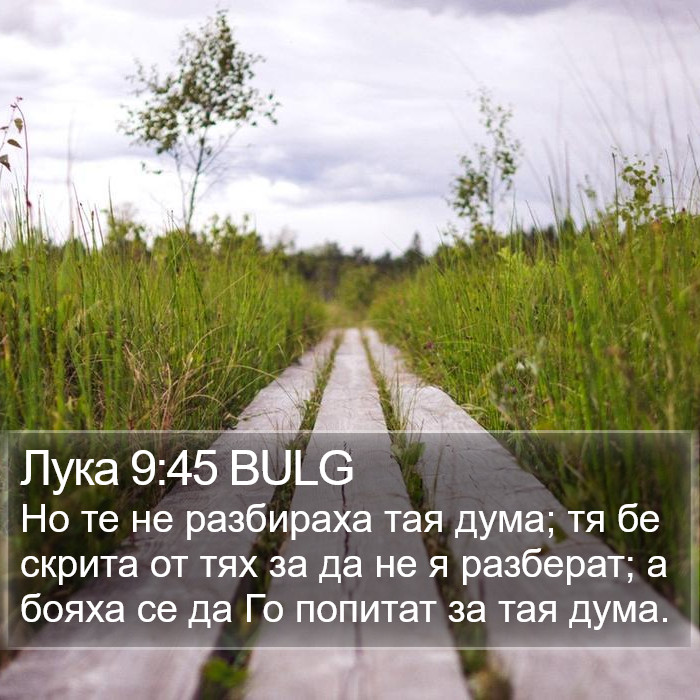 Лука 9:45 BULG Bible Study