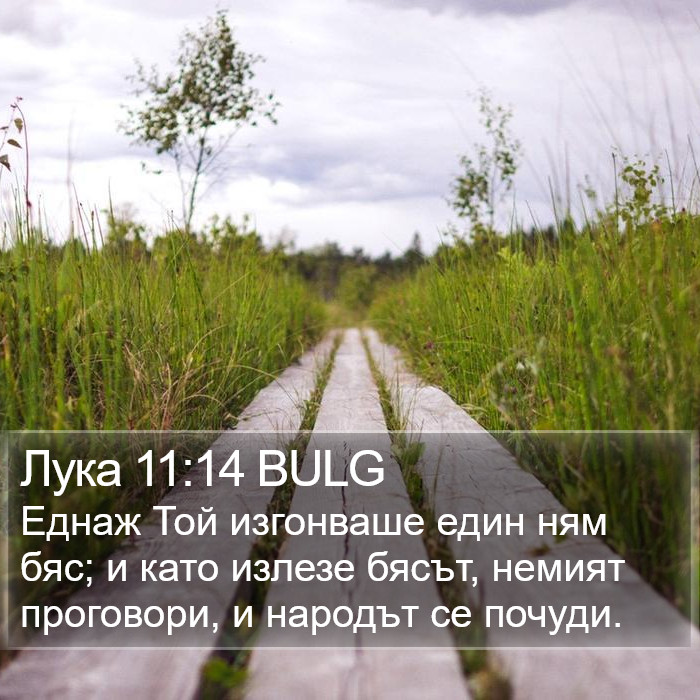 Лука 11:14 BULG Bible Study