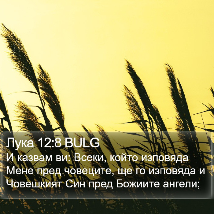 Лука 12:8 BULG Bible Study