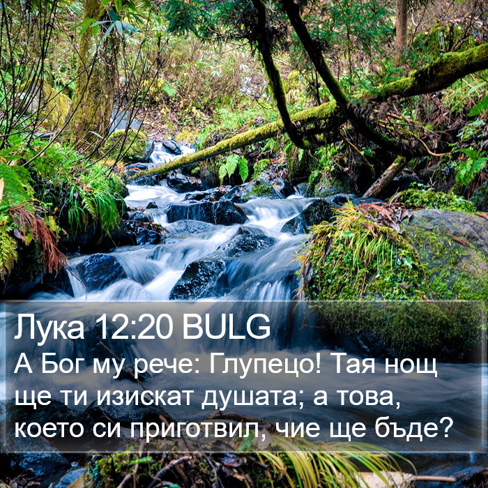 Лука 12:20 BULG Bible Study