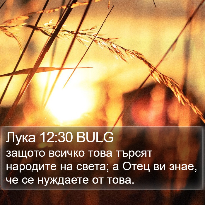 Лука 12:30 BULG Bible Study