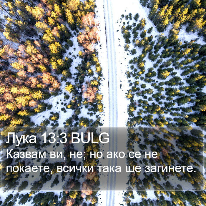 Лука 13:3 BULG Bible Study