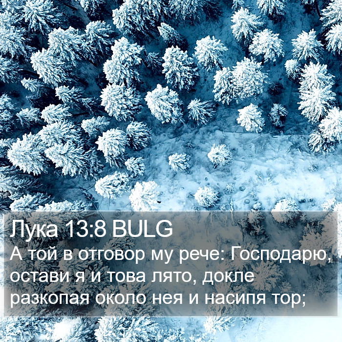 Лука 13:8 BULG Bible Study