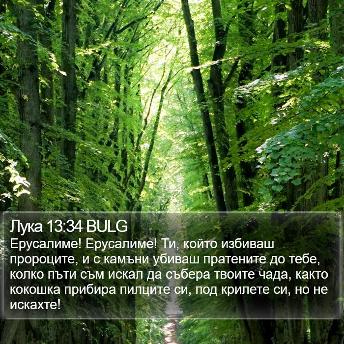 Лука 13:34 BULG Bible Study