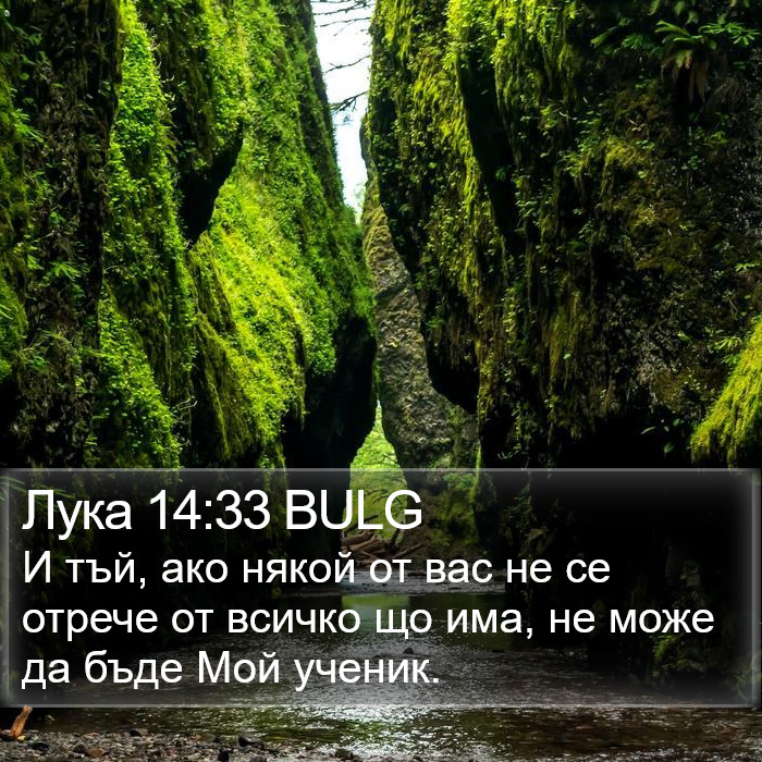 Лука 14:33 BULG Bible Study