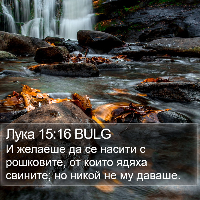 Лука 15:16 BULG Bible Study