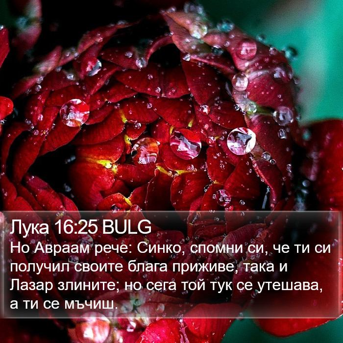 Лука 16:25 BULG Bible Study