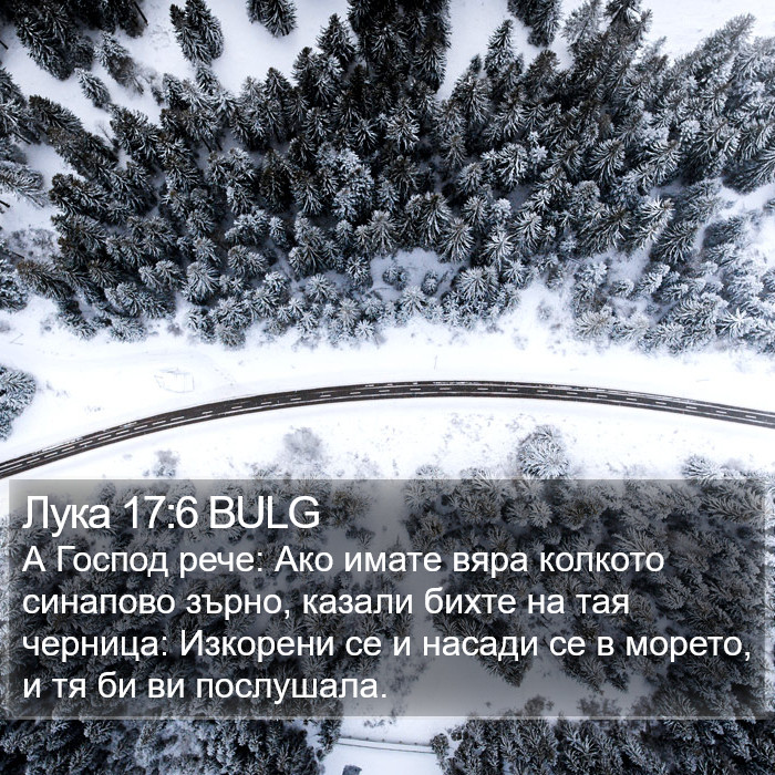 Лука 17:6 BULG Bible Study