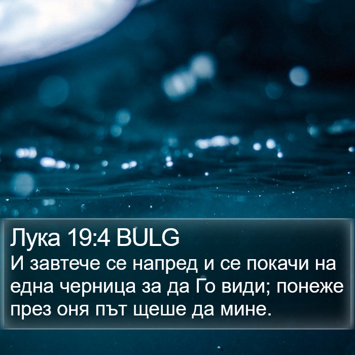 Лука 19:4 BULG Bible Study