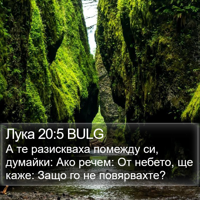 Лука 20:5 BULG Bible Study